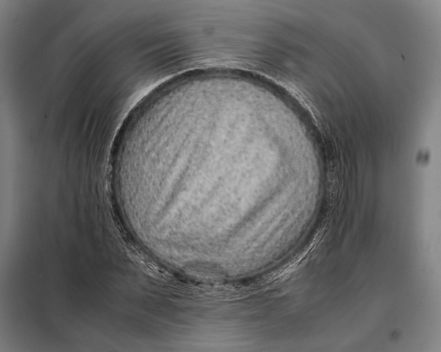 X0000097900879200804041435