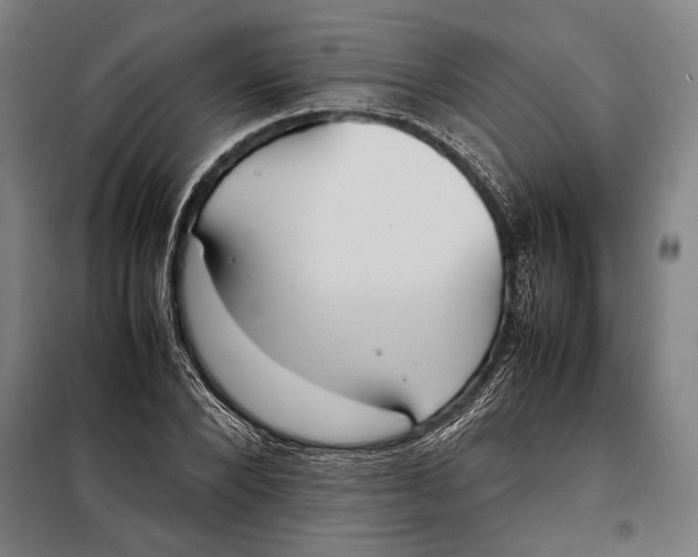 X0000097900880200804041435