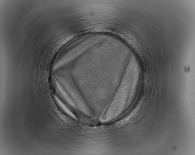 X0000097900881200804041435