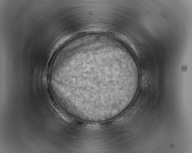 X0000097900882200804041435