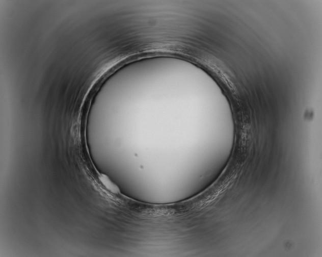 X0000097900884200804041435