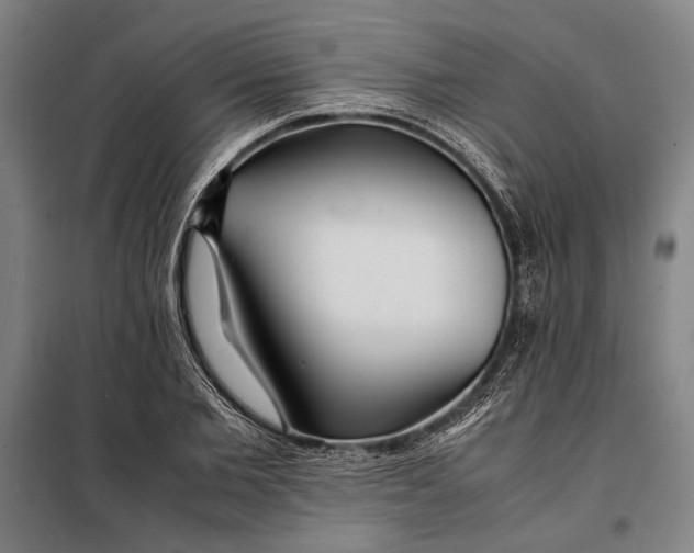 X0000097900885200804041435