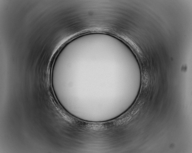 X0000097900886200804041435