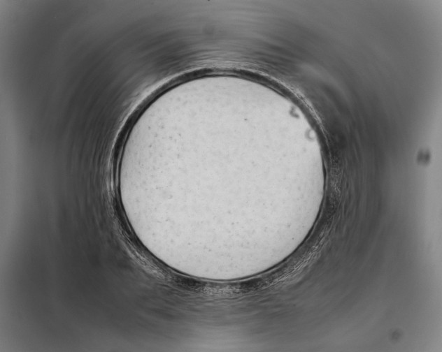 X0000097900887200804041435