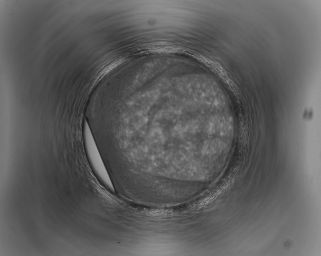 X0000097900889200804041435