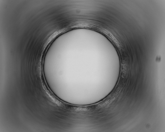 X0000097900890200804041435