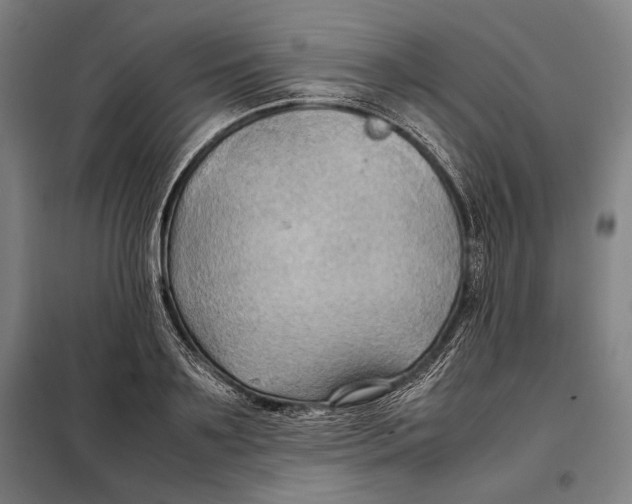 X0000097900891200804041435