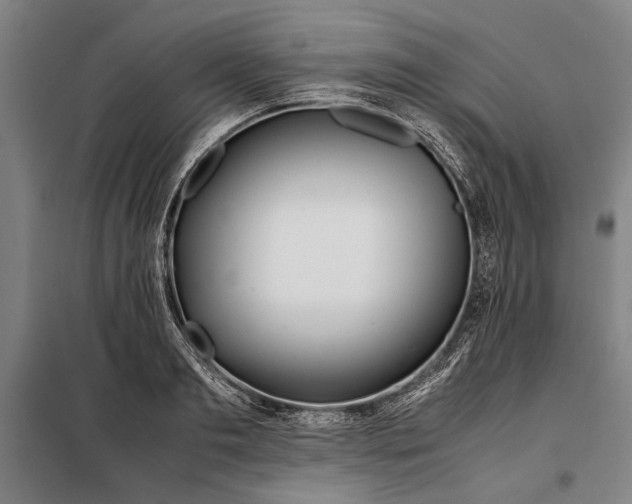 X0000097900893200804041435