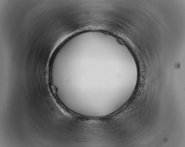 X0000097900894200804041435