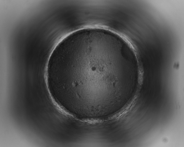 X0000097900895200804041434