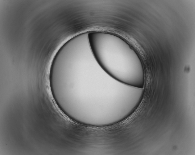 X0000097900896200804041434