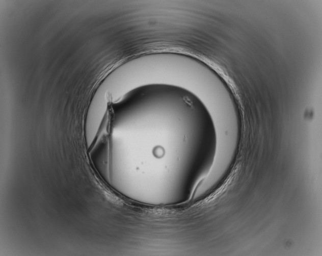 X0000097900897200804041434