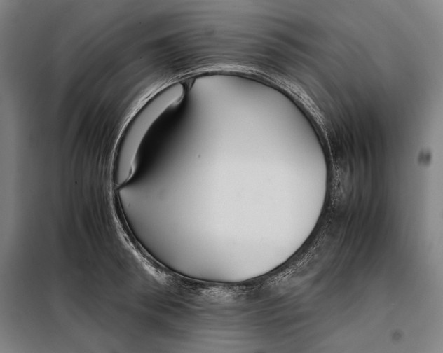 X0000097900898200804041434