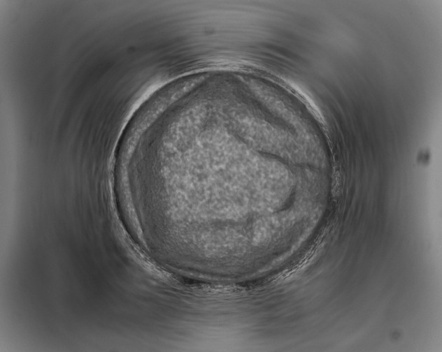 X0000097900899200804041434