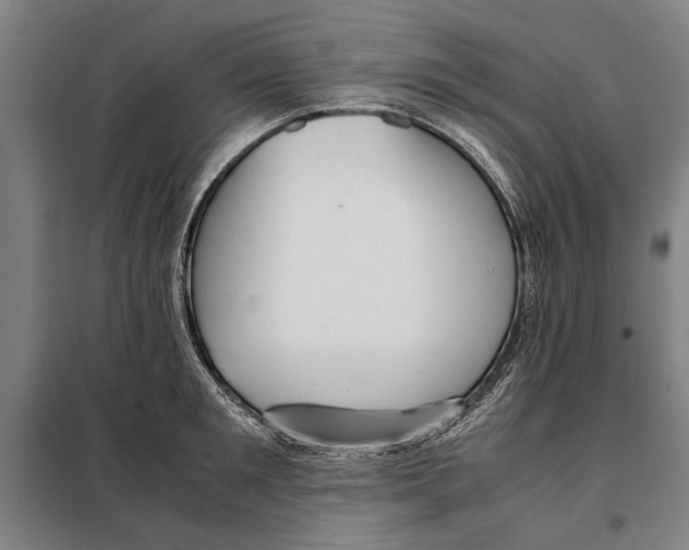 X0000097900901200804041434