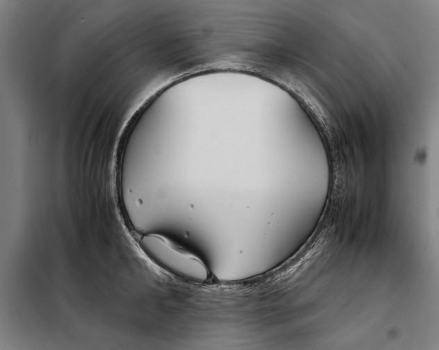 X0000097900902200804041434