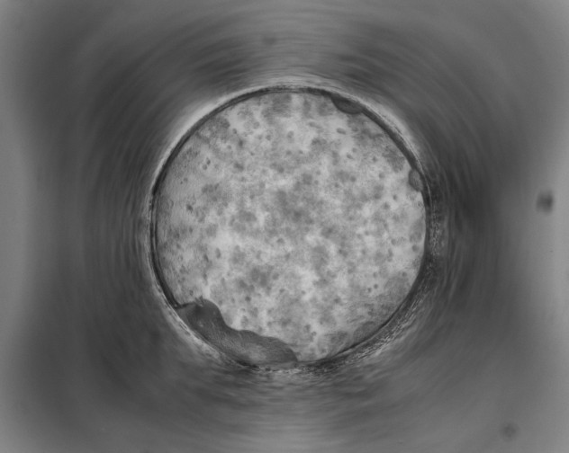 X0000097900903200804041434