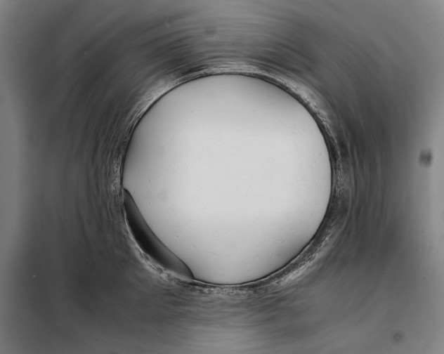 X0000097900905200804041434