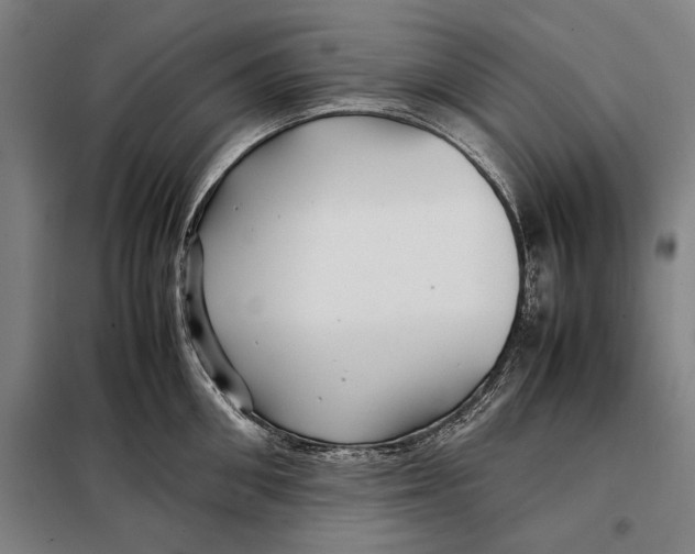 X0000097900906200804041434