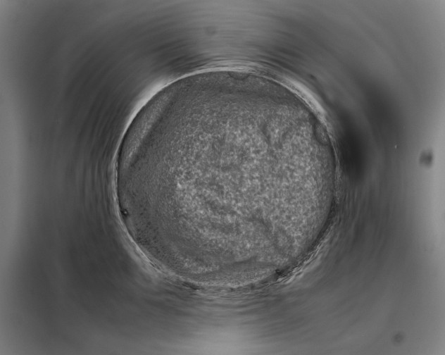 X0000097900907200804041434