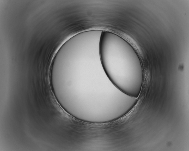 X0000097900908200804041434