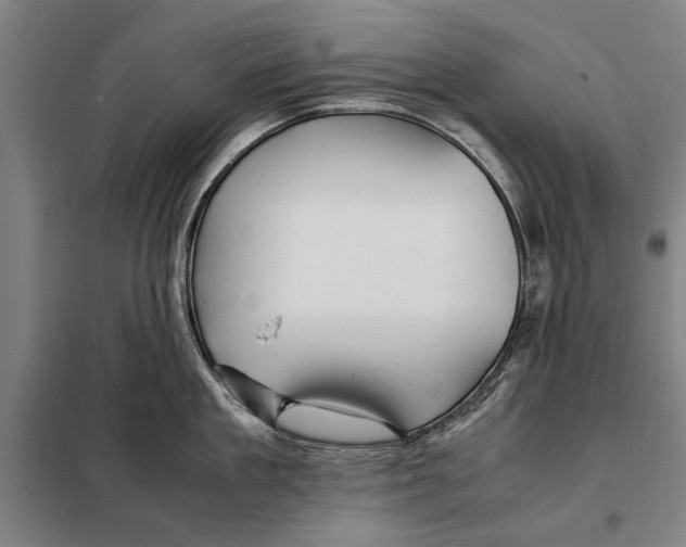 X0000097900909200804041434