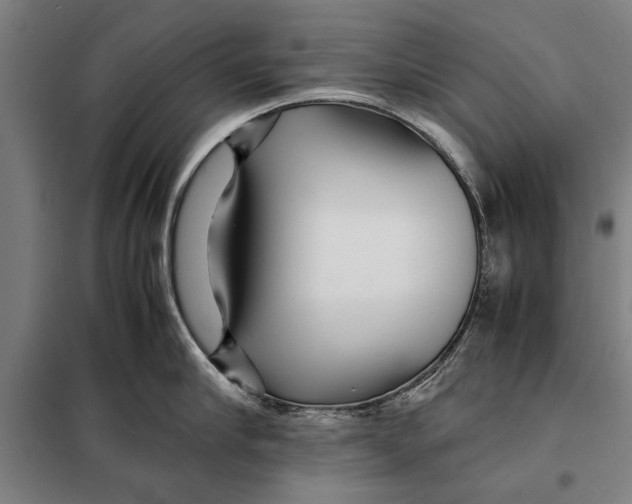 X0000097900910200804041434