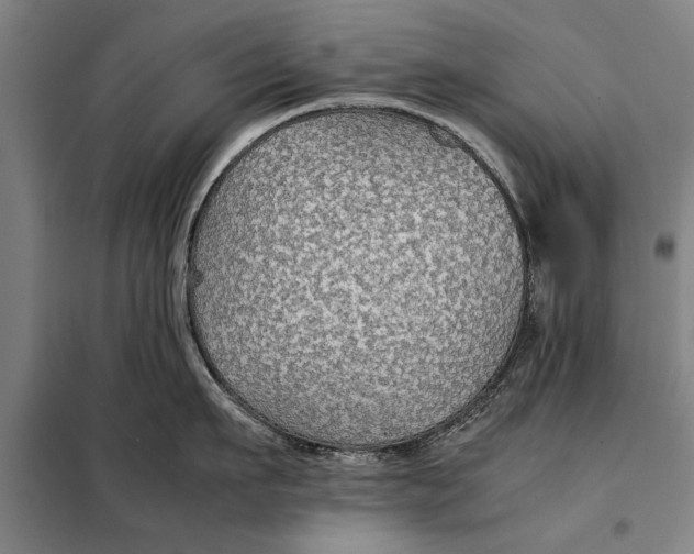 X0000097900911200804041434