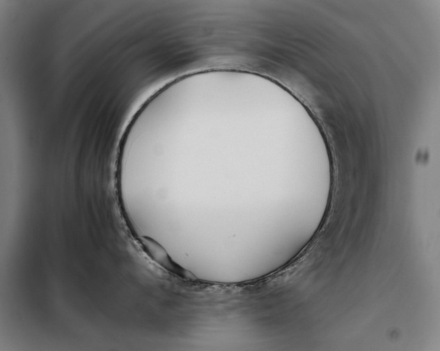 X0000097900912200804041434