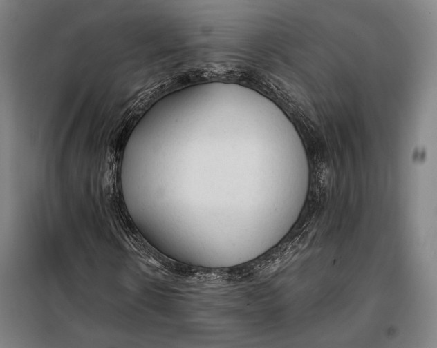 X0000097900914200804041434