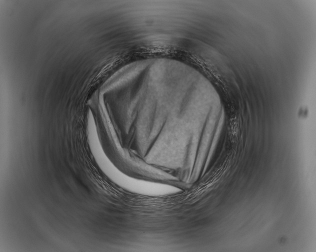 X0000097900916200804041434