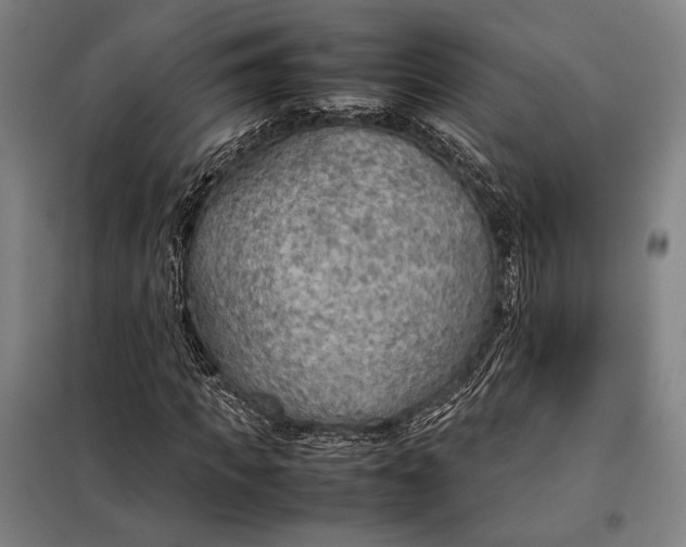 X0000097900917200804041434