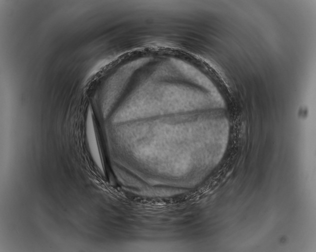 X0000097900919200804041434