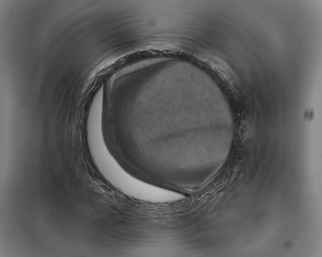 X0000097900920200804041434