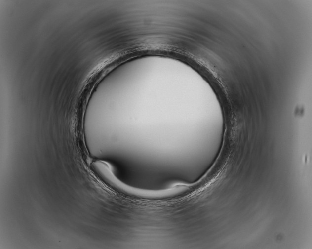 X0000097900922200804041434