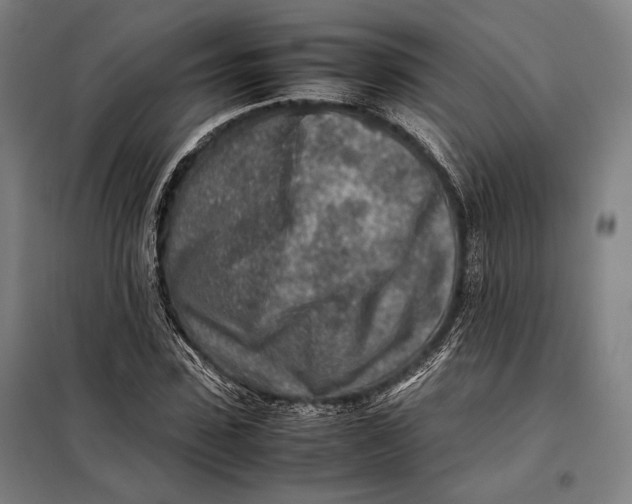 X0000097900923200804041434