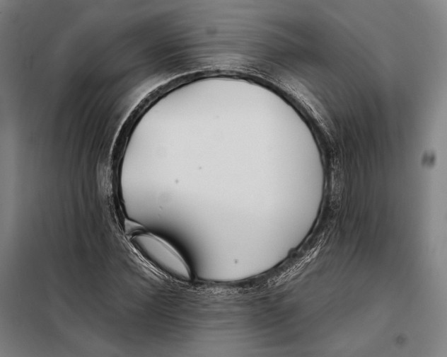 X0000097900924200804041434