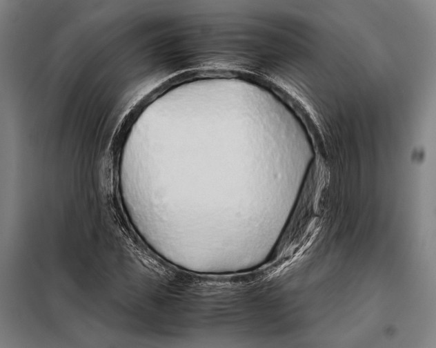 X0000097900925200804041434