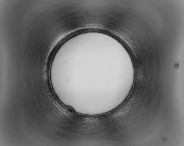 X0000097900927200804041434