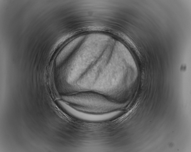 X0000097900930200804041434