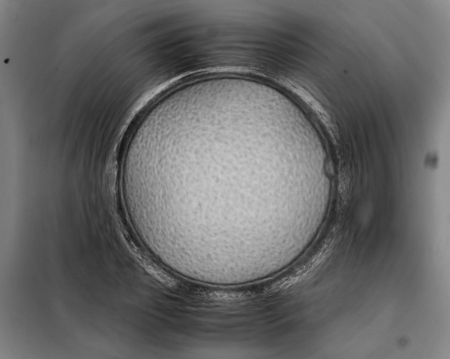 X0000097900933200804041434