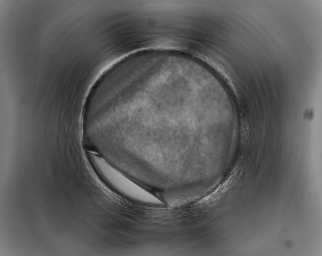 X0000097900935200804041434