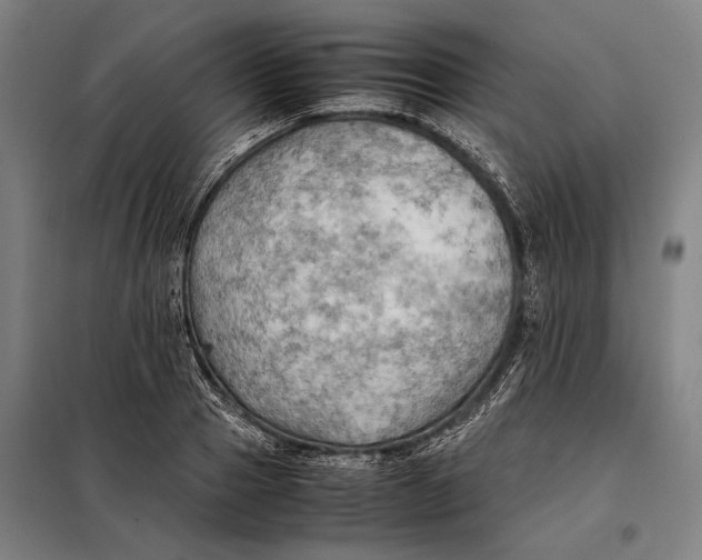 X0000097900937200804041434