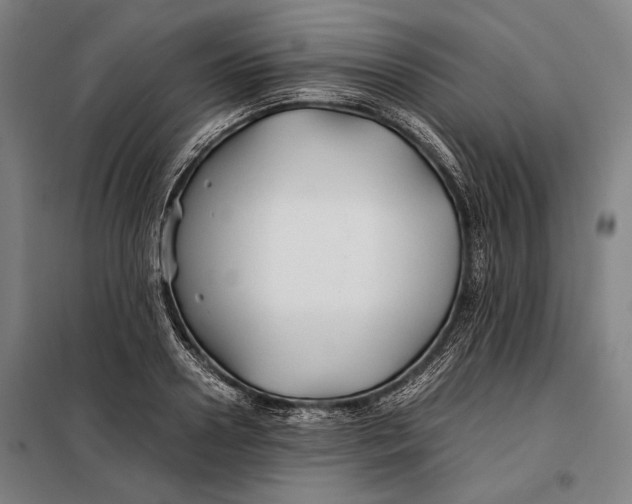 X0000097900938200804041434