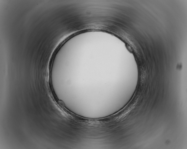 X0000097900940200804041434