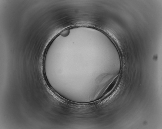 X0000097900941200804041434