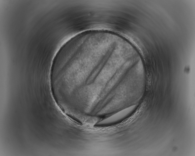 X0000097900943200804041434