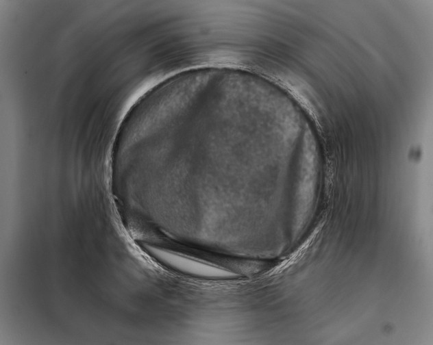 X0000097900944200804041434