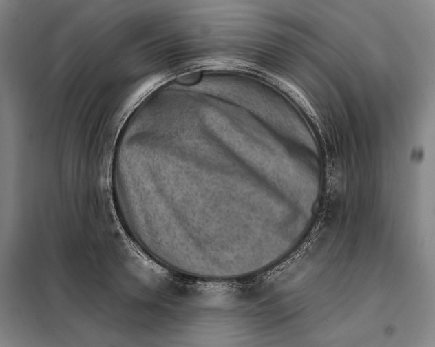 X0000097900946200804041434