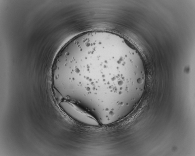 X0000097900948200804041434